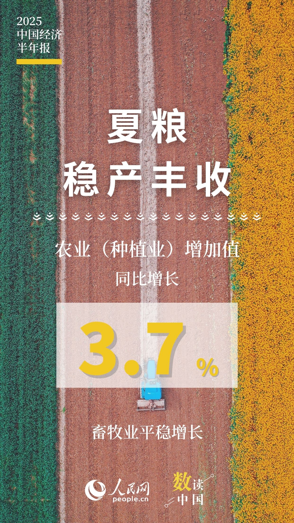 10組數(shù)據(jù)速覽2025中國經(jīng)濟半年報